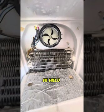 Cómo revisar el ventilador interior del frigorífico